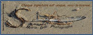 Marie-Gab 